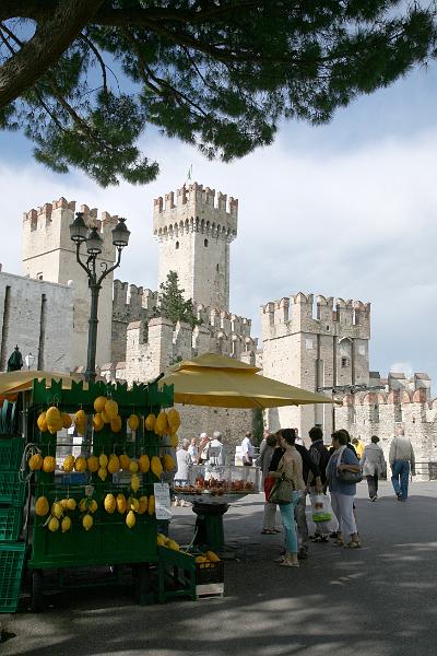 Simione_04.JPG