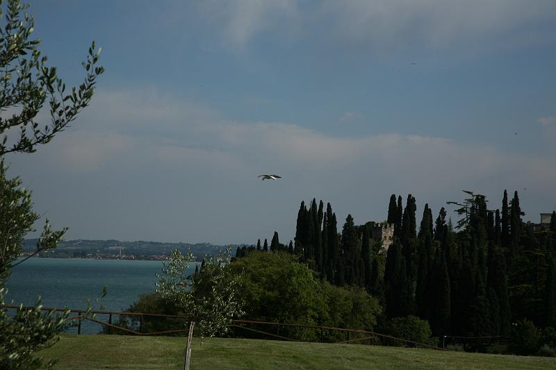 Simione_22.JPG
