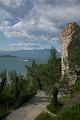 Simione_08