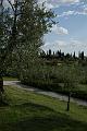 Simione_21