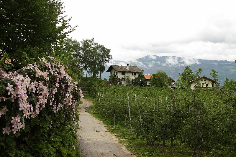 Voellan_bei_Meran_12.jpg