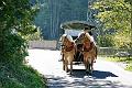 Mittenwald_22