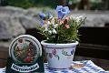 Mittenwald_23