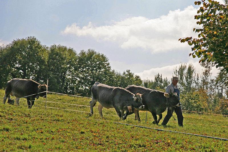 Völlan_08.jpg