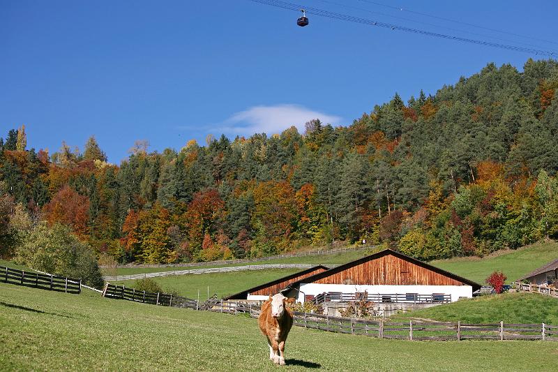 Völlan_52.jpg