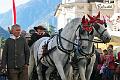 Tirol_Okt.16_100
