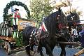 Tirol_Okt.16_135