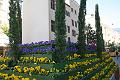 Tirol_Okt.16_154