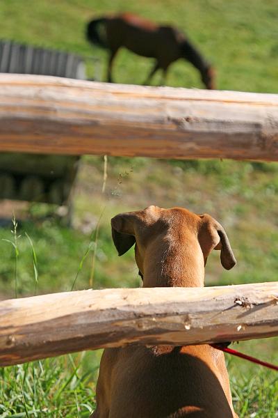Tirol_Okt.16_067.jpg