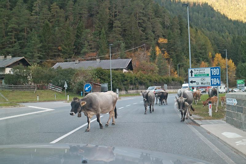 Tirol_Okt.16_172.jpg -                                