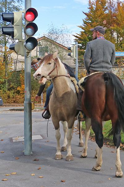 Tirol_Okt.16_175.jpg -                                
