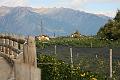 Tirol_Okt.16_025