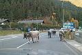 Tirol_Okt.16_172