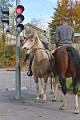 Tirol_Okt.16_175