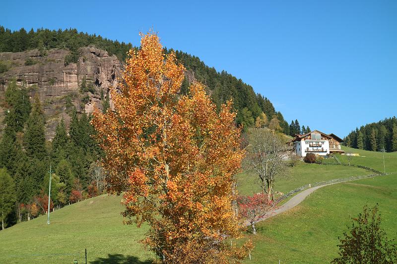 KnottnKino_07.jpg