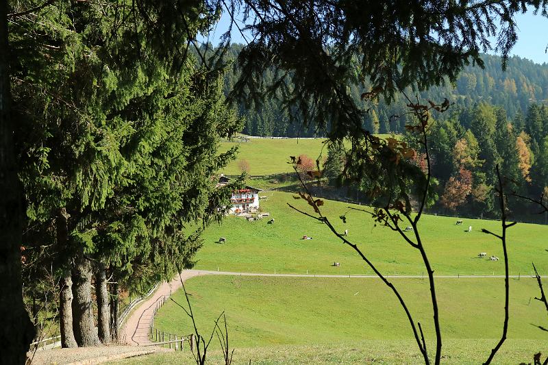 KnottnKino_11.jpg -                                
