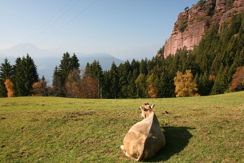 KnottnKino_21.jpg
