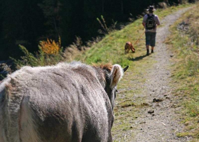 Passeier_ST.Hippolith_09.jpg