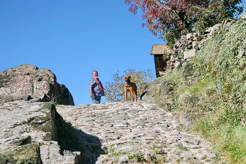 ST.Hippolith_02.JPG