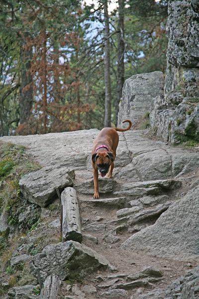 Sonnenberg_079.JPG