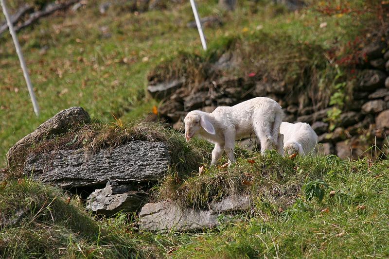 Sonnenberg_080.JPG