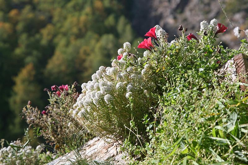 Sonnenberg_090.JPG